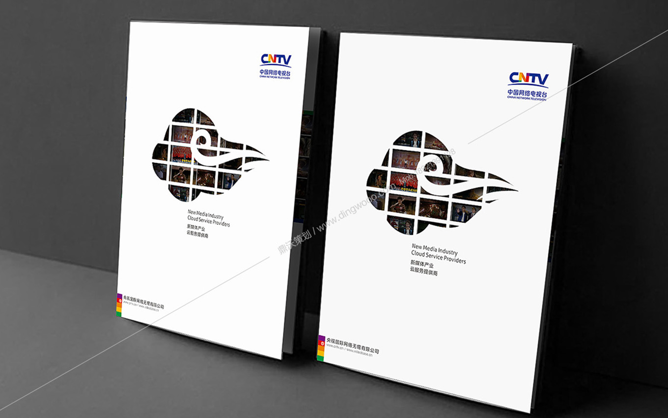 cntv04.jpg
