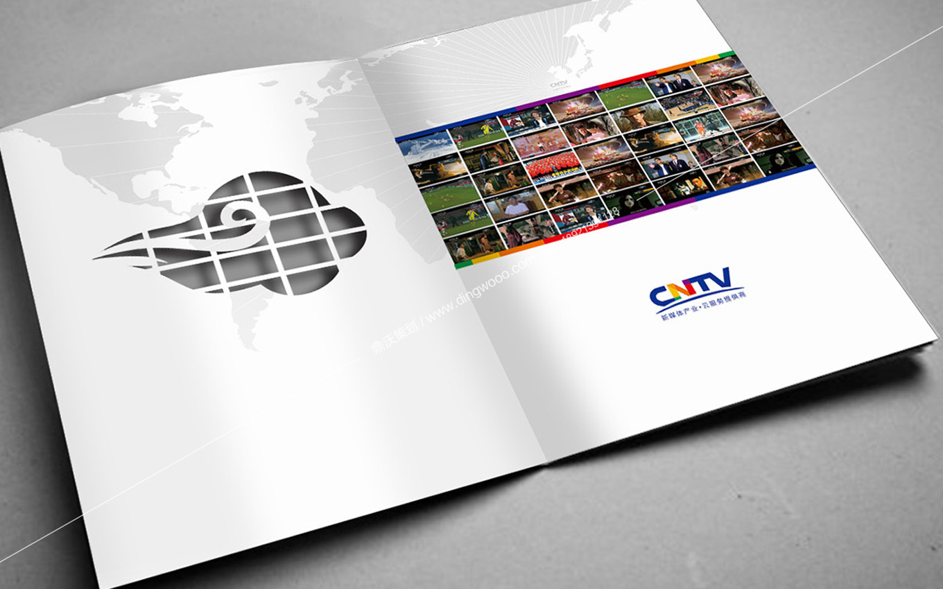 cntv/cntv05.jpg